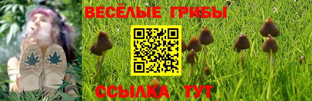 Нижний Тагил  Псилоцибиновые грибы прущие грибы  Вход с VPN 