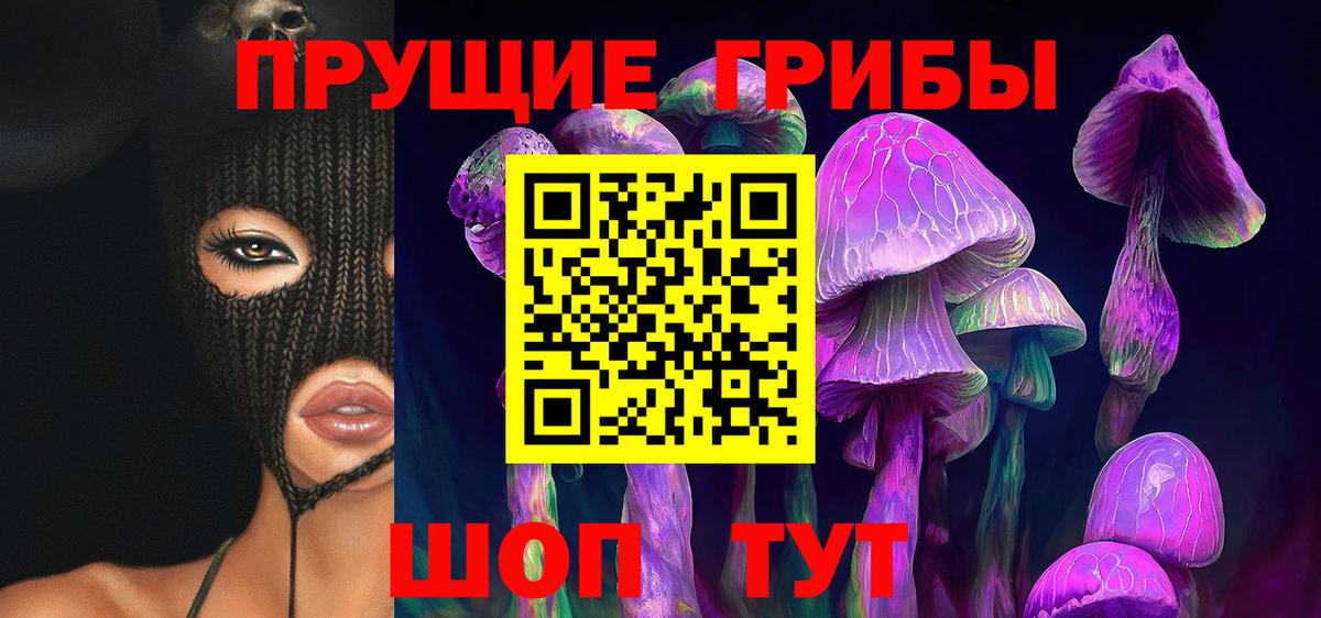 Галлюциногенные грибы Cubensis Нижний Тагил